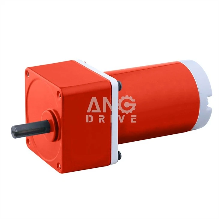 BLDC Gear Motor