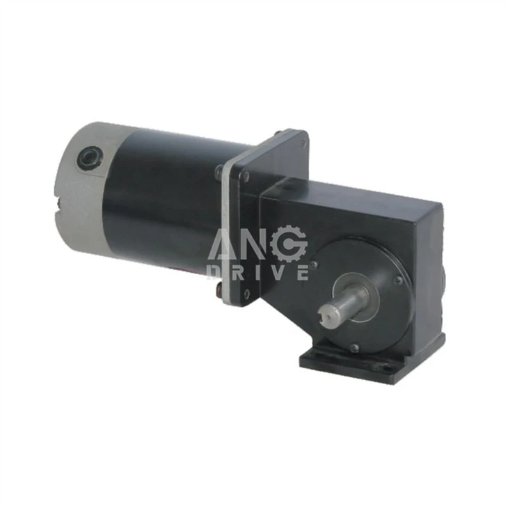 dc brush worm gear motor