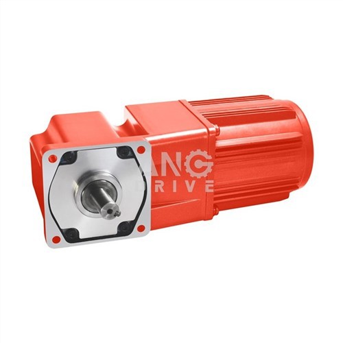 25W Gear Motor