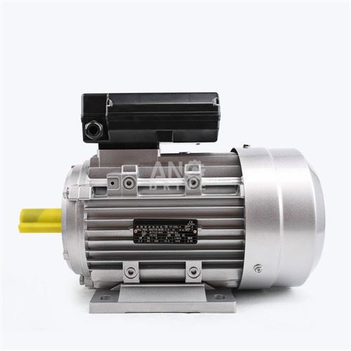 Alumium IEC motor
