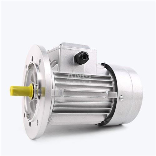 IEC Standards Motor