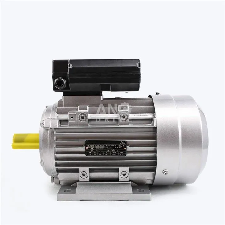 electric motor