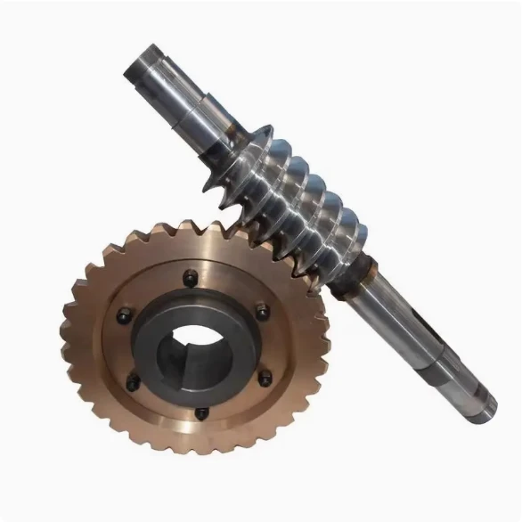 Hourglass Worm Gear